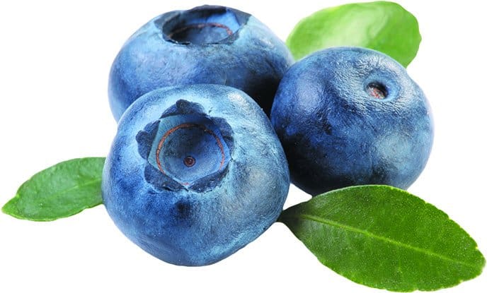 Blueberries Good for Your Blood Pressure and Brain - Tufts Health & Nutrition Letter